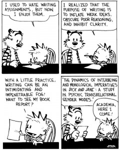 CalvinHobbes Academia